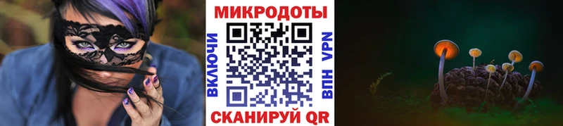 Псилоцибиновые грибы Psilocybine cubensis Нолинск